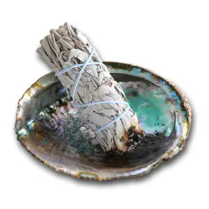 Abalone Shell Smudge Bowls (Large)